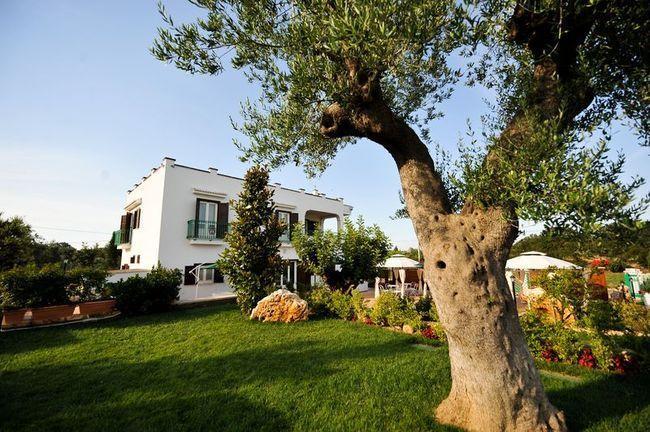 La Valle Del Cristallo B&B Cisternino Exterior foto